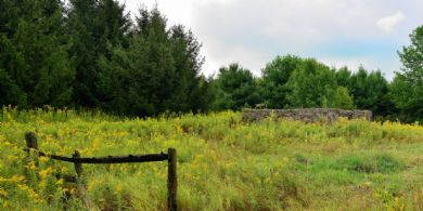 Stone Barn Foundation - Country homes for sale and luxury real estate including horse farms and property in the Caledon and King City areas near Toronto