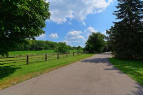 Long Drive up to Residence - Country homes for sale and luxury real estate including horse farms and property in the Caledon and King City areas near Toronto