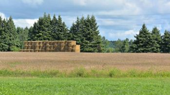 Farmed Fields offer Attractive Tax Benefits - Country homes for sale and luxury real estate including horse farms and property in the Caledon and King City areas near Toronto