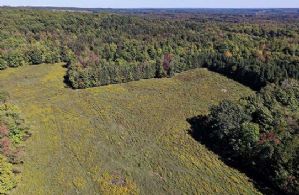 50 Acres, Forks of The Credit, Caledon, Ontario, Canada - Country homes for sale and luxury real estate including horse farms and property in the Caledon and King City areas near Toronto