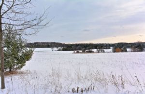 35 Acres, South Mono, Ontario - Country homes for sale and luxury real estate including horse farms and property in the Caledon and King City areas near Toronto
