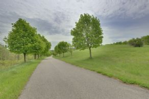 1 Km Paved Tree-lined Driveway - Country homes for sale and luxury real estate including horse farms and property in the Caledon and King City areas near Toronto