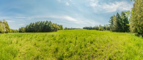 Western Fields with Hiking Trail - Country homes for sale and luxury real estate including horse farms and property in the Caledon and King City areas near Toronto