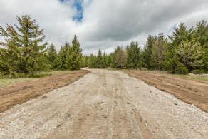 New Driveway - Country homes for sale and luxury real estate including horse farms and property in the Caledon and King City areas near Toronto
