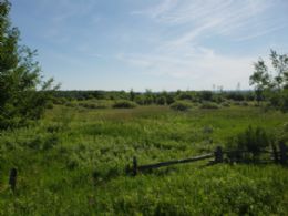 10 Acre Lot, Caledon, Ontario - Country homes for sale and luxury real estate including horse farms and property in the Caledon and King City areas near Toronto