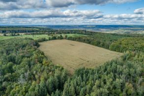 Back Field & Woodlands - Country homes for sale and luxury real estate including horse farms and property in the Caledon and King City areas near Toronto
