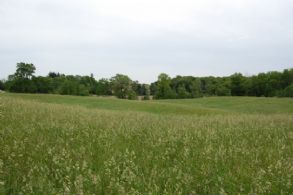 50 Acres King - Country Homes for sale and Luxury Real Estate in Caledon and King City including Horse Farms and Property for sale near Toronto