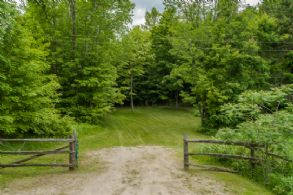 Mulmur Woodlot, Near Mansfield - Country homes for sale and luxury real estate including horse farms and property in the Caledon and King City areas near Toronto