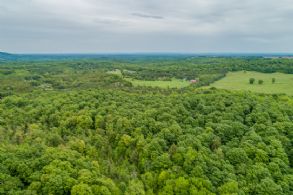 Mulmur Woodlot, Near Mansfield - Country homes for sale and luxury real estate including horse farms and property in the Caledon and King City areas near Toronto