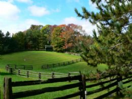 Rolling Paddocks - Country homes for sale and luxury real estate including horse farms and property in the Caledon and King City areas near Toronto