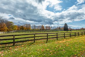 104 Acres, Caledon, Caledon, Ontario - Country homes for sale and luxury real estate including horse farms and property in the Caledon and King City areas near Toronto