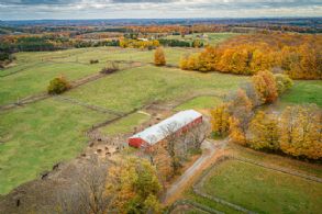 Foaling Barn - Country homes for sale and luxury real estate including horse farms and property in the Caledon and King City areas near Toronto