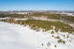 Treed 10.98 Acres of Hilltop Land - Country homes for sale and luxury real estate including horse farms and property in the Caledon and King City areas near Toronto