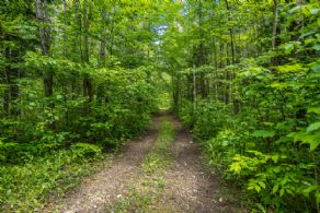Hiking Trails - Country homes for sale and luxury real estate including horse farms and property in the Caledon and King City areas near Toronto