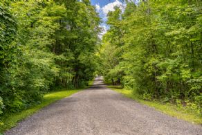 Very Private Driveway to the Front Gate - Country homes for sale and luxury real estate including horse farms and property in the Caledon and King City areas near Toronto