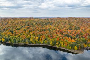Percy Lake 75 Acres, Haliburton, Ontario - Country homes for sale and luxury real estate including horse farms and property in the Caledon and King City areas near Toronto